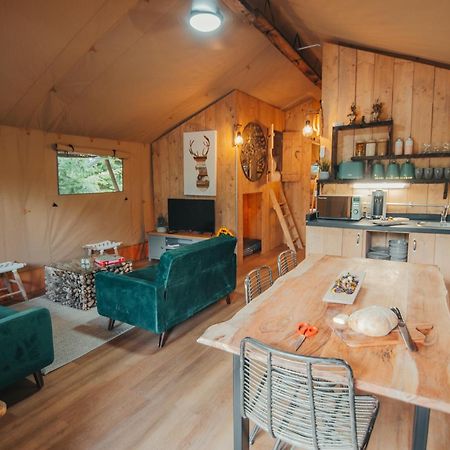 Cosy Forest Lodge Penrhos  Dış mekan fotoğraf