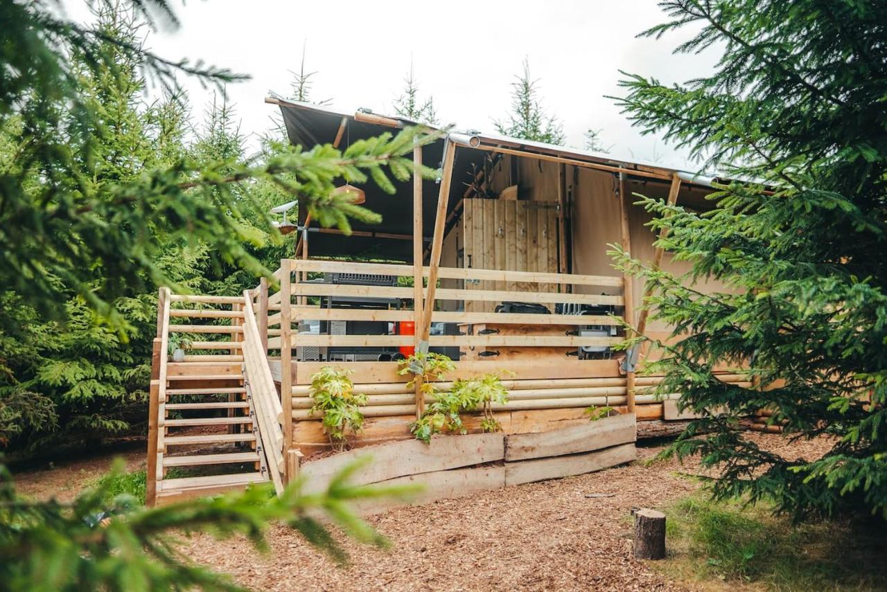 Cosy Forest Lodge Penrhos  Dış mekan fotoğraf