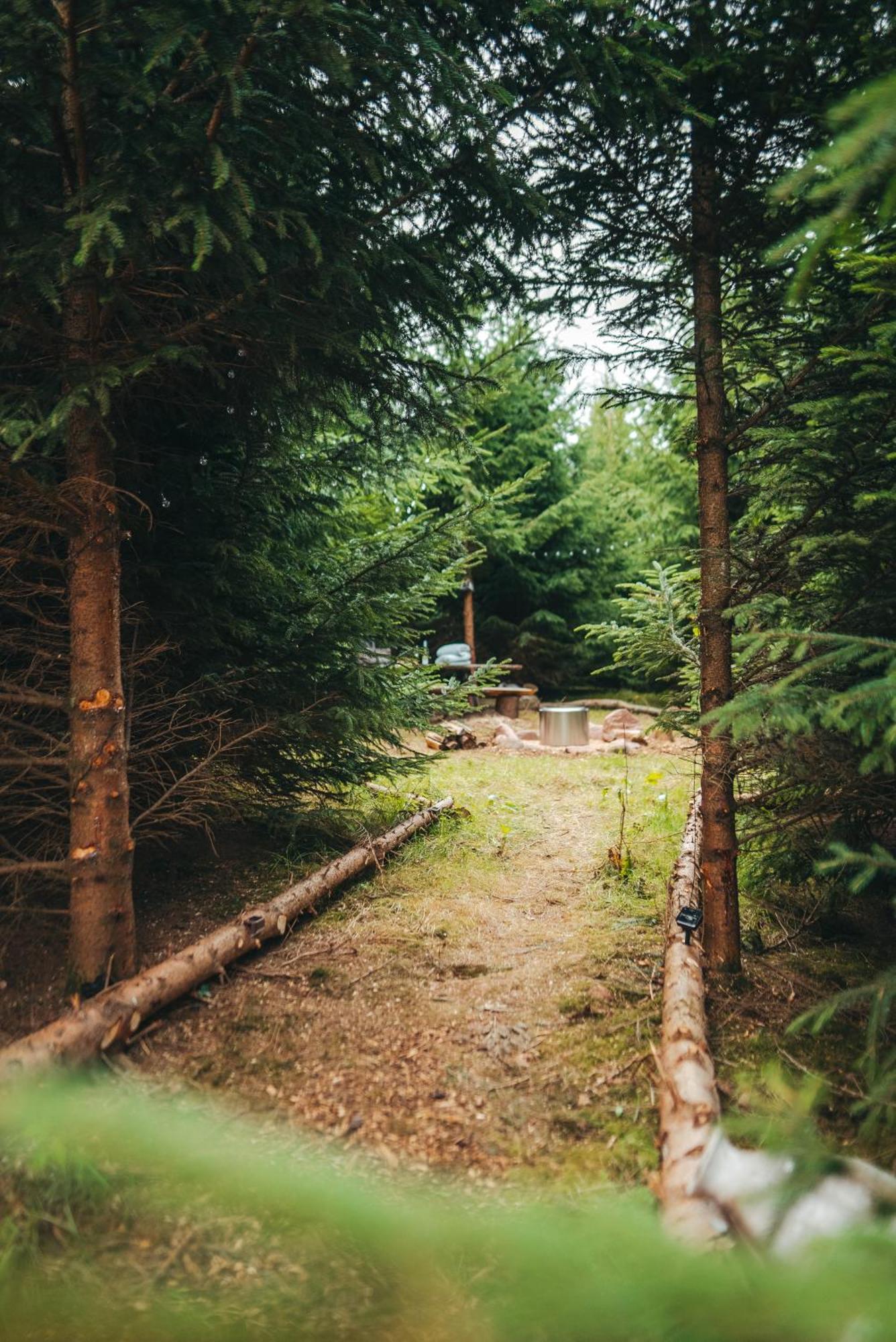 Cosy Forest Lodge Penrhos  Dış mekan fotoğraf
