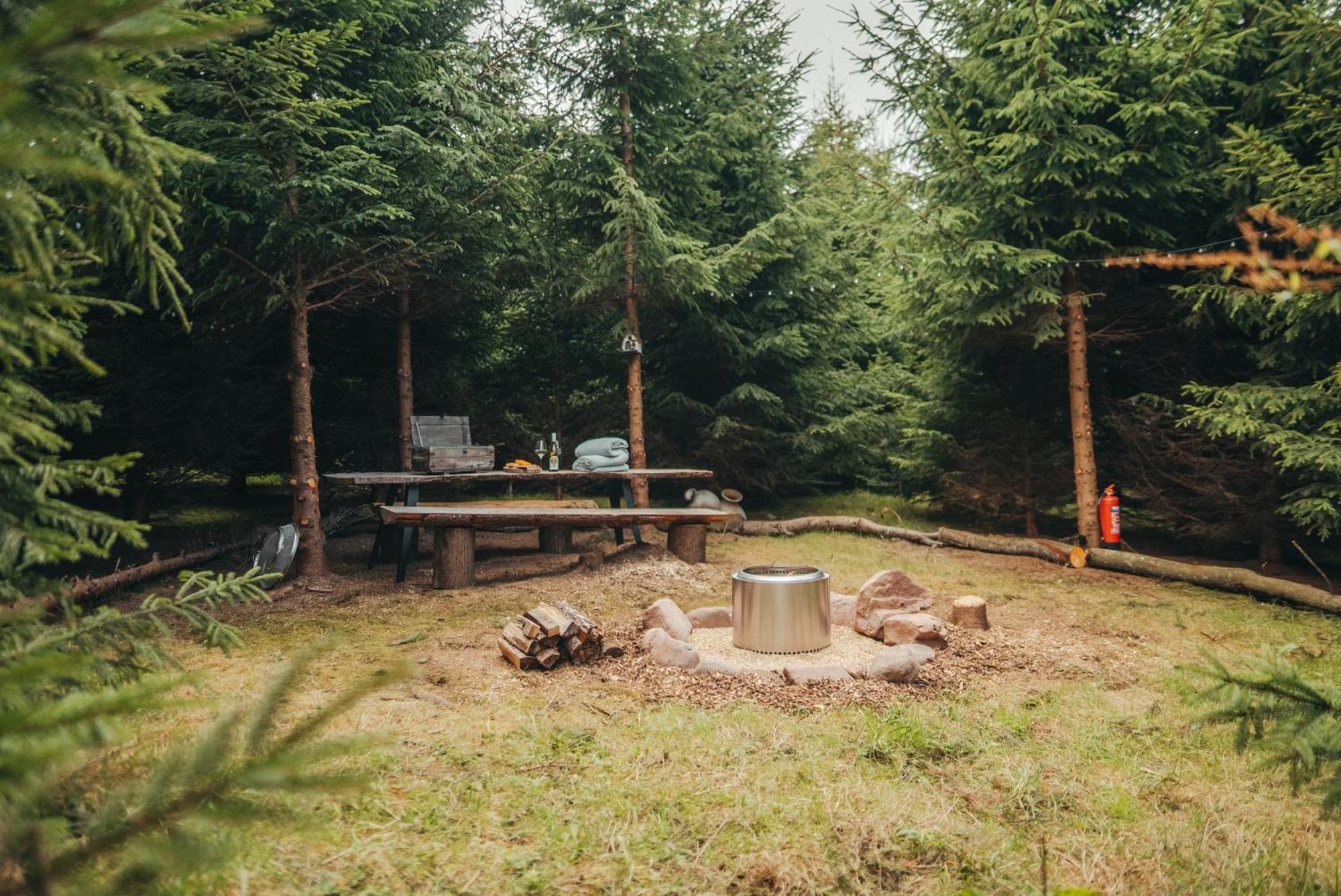 Cosy Forest Lodge Penrhos  Dış mekan fotoğraf
