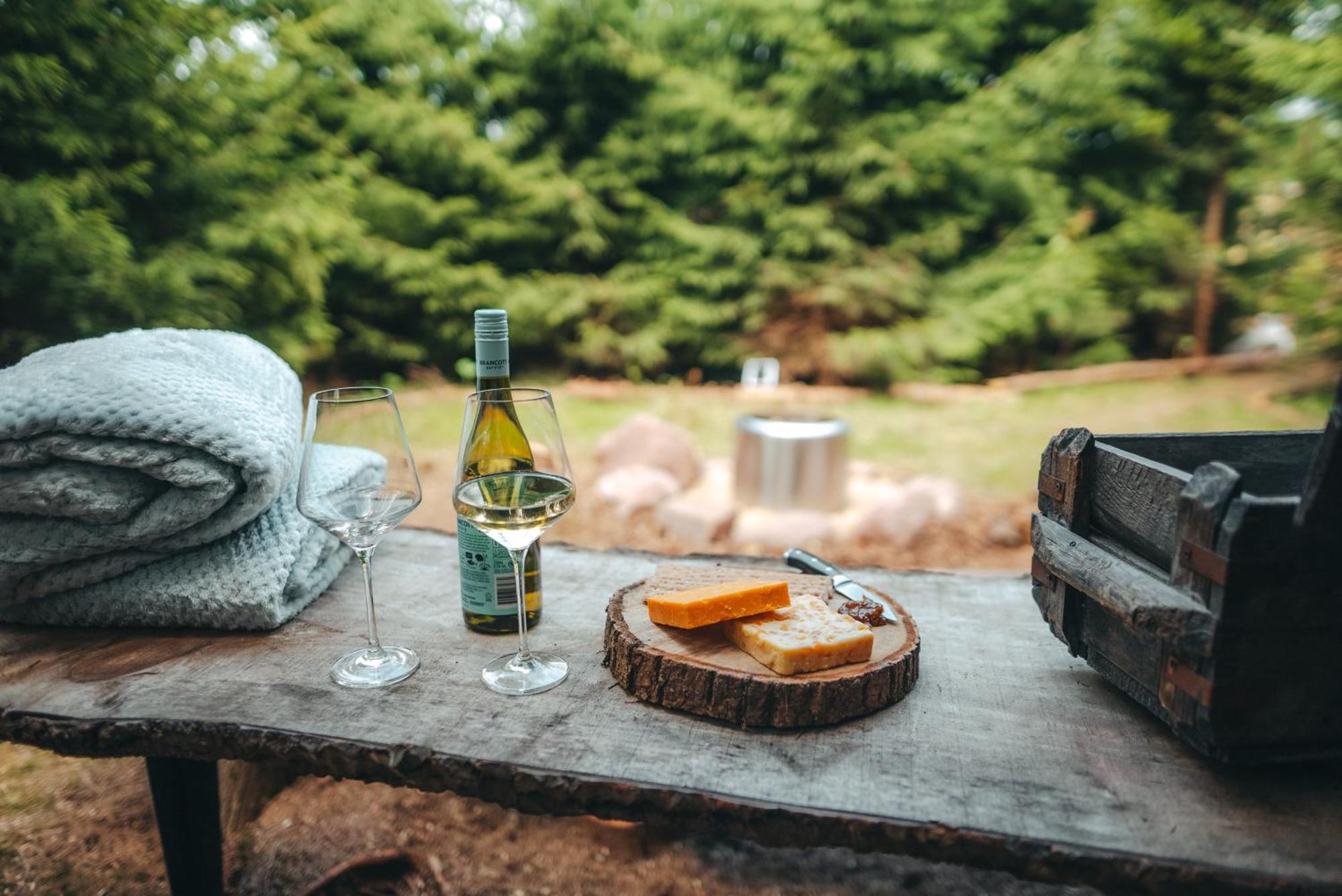 Cosy Forest Lodge Penrhos  Dış mekan fotoğraf