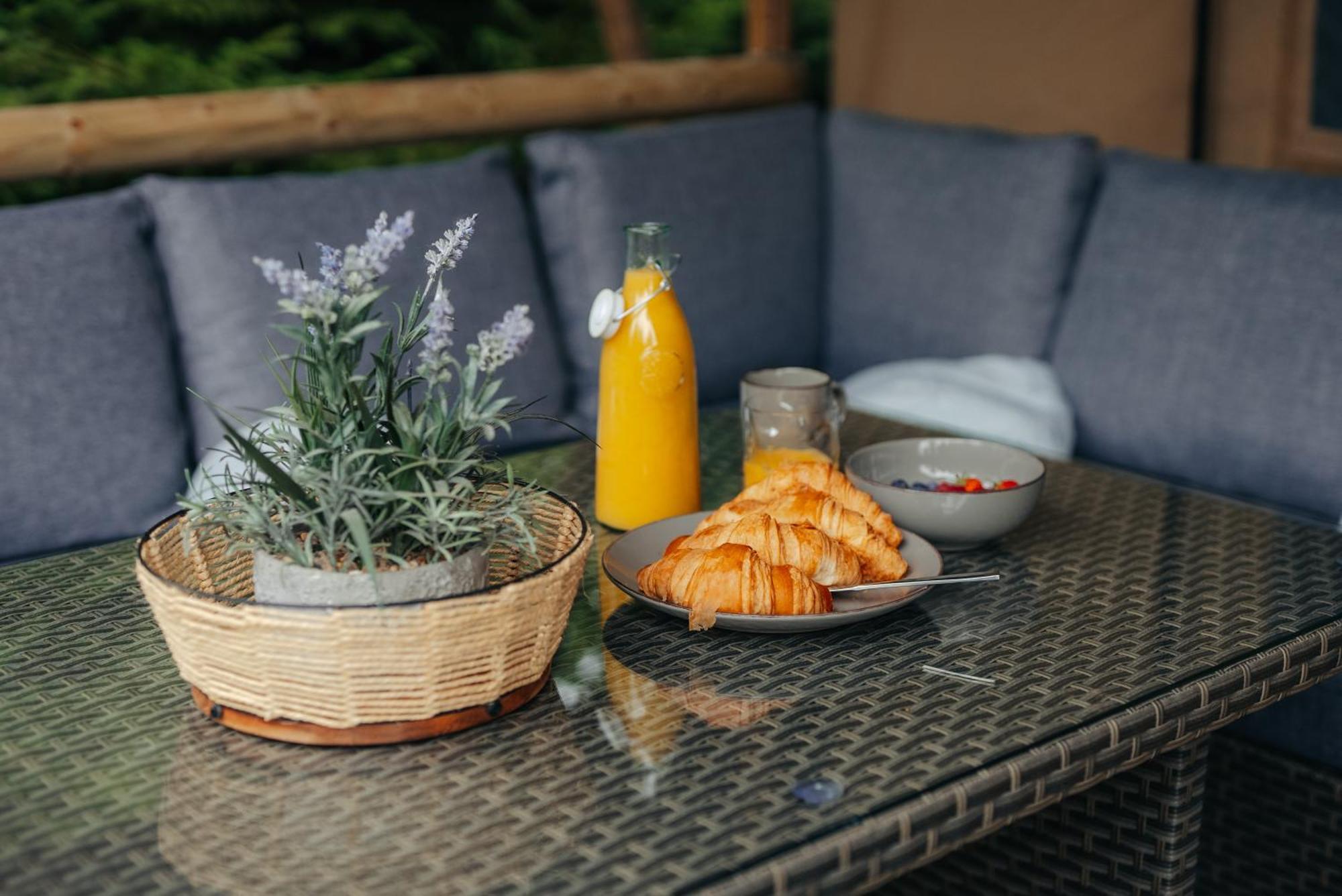 Cosy Forest Lodge Penrhos  Dış mekan fotoğraf