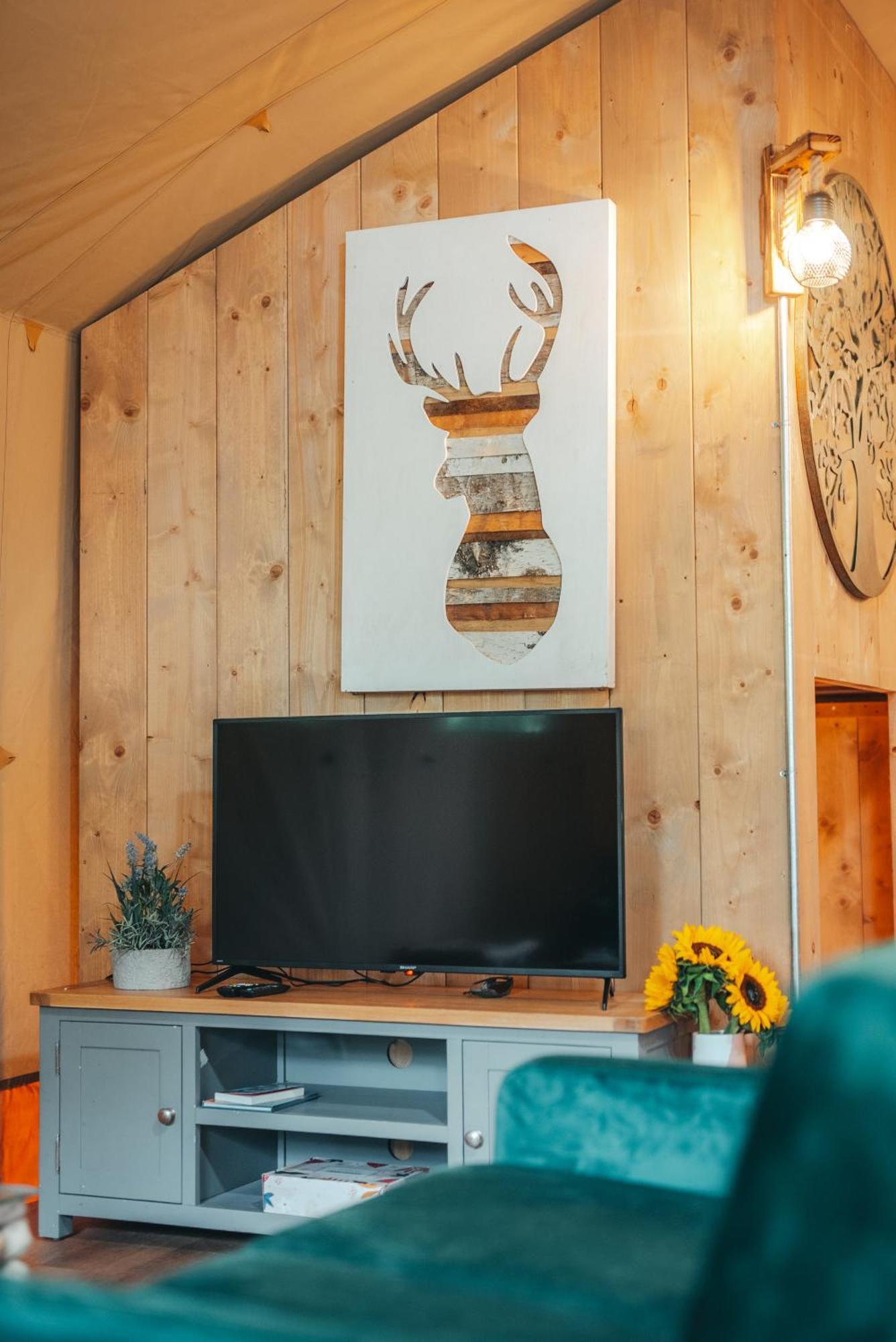 Cosy Forest Lodge Penrhos  Dış mekan fotoğraf